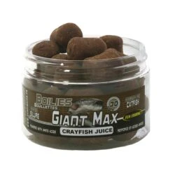 BOUILLETTE FUN FISHING GAMME GIANT MAX SPECIAL SILURE