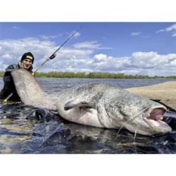 CANNE SPINNING BLACK CAT PERFECT PASSION XH-S -Peche Brume Soldes Magasin canne spinning black cat perfect passion xh s z 2551 255107 4