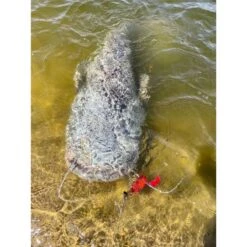 CHATTERBAIT BLACK CAT CAT CHATTER - 45G -Peche Brume Soldes Magasin chatterbait black cat chatter 45g z 2625 262522 3