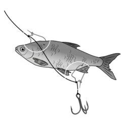 CLIP ASTICOT BLACK CAT -Peche Brume Soldes Magasin clip asticot black cat z 2625 262545 3