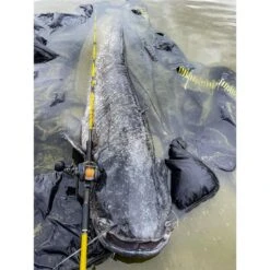 MOULINET CASTING BLACK CAT CAST 301 LH -Peche Brume Soldes Magasin moulinet casting black cat cast 301 lh z 2625 262555 8